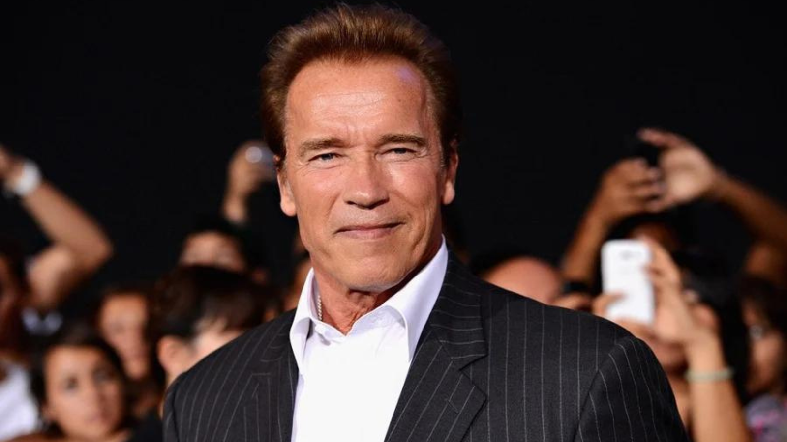 Arnold's Wealth Reveal Net Worth Insights